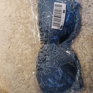 Victoria Secret bra (size 36DD/E), padded NWT-never opened